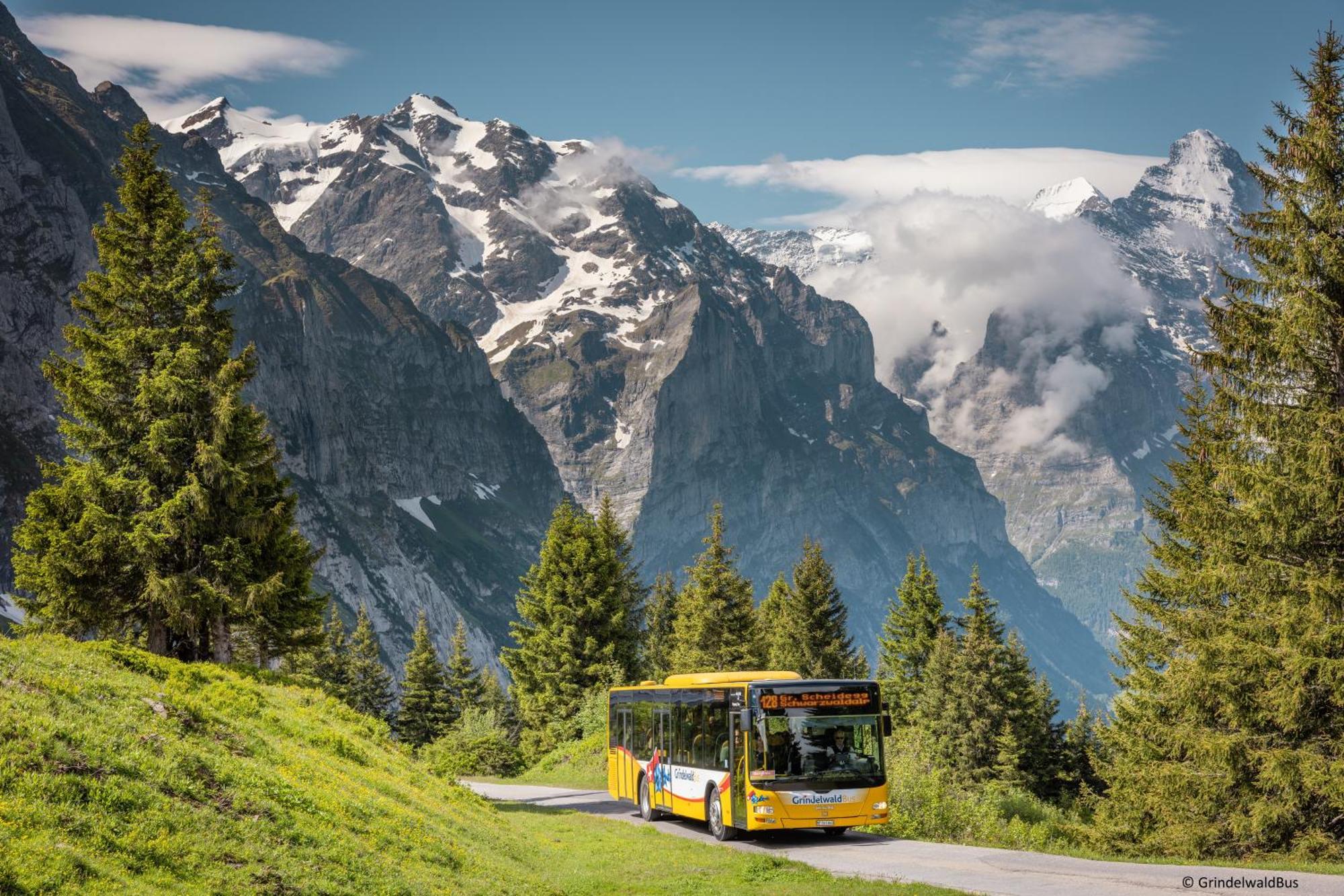 Parkhotel Schoenegg Grindelwald Exterior photo